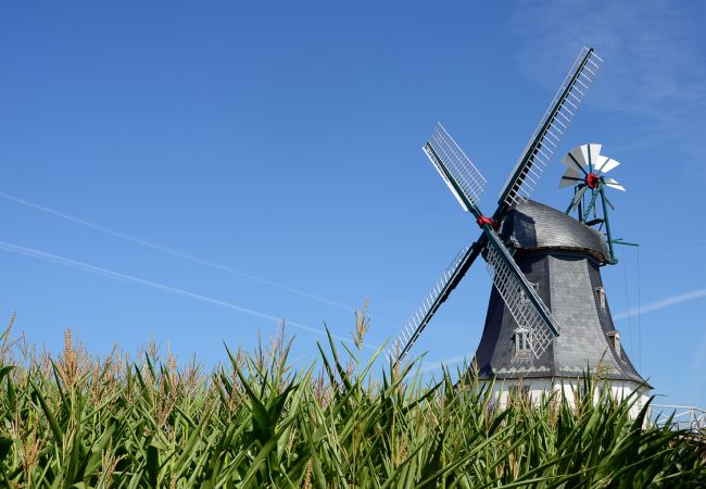 Friesische Ostern im Niebüller Hof